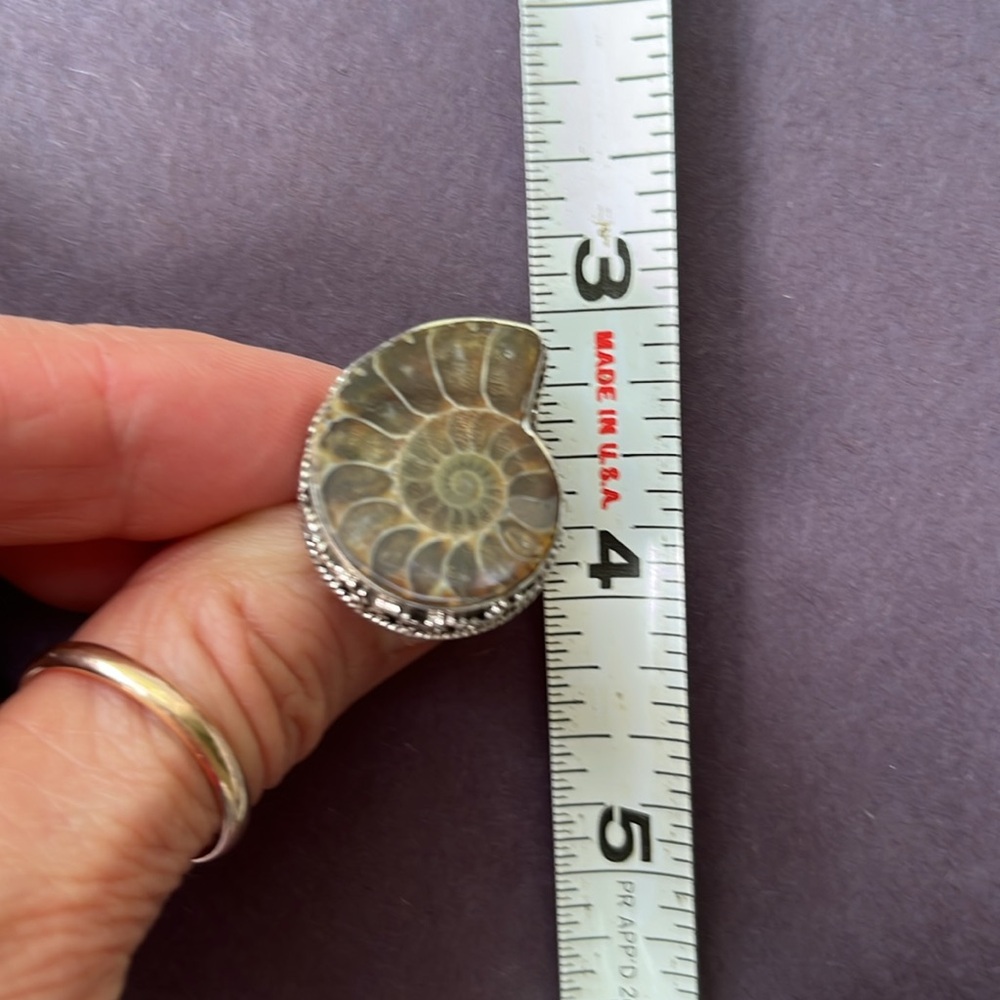 Sterling Silver Fossil Shell Ring - Picture 8 of 8